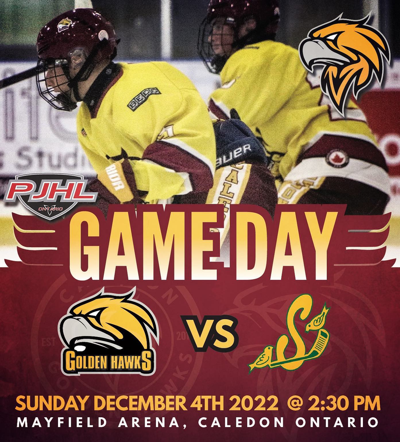 [ GAME DAY ] battle of the birds! Your Caledon Golden Hawks are gearing up to take on the high flying Staynar Siskins at our home nest Sunday December 4th @ 2:30 pm Mayfield Arena. COME OUT AND WATCH!  #noquit #letsgo #caledongoldenhawks #pjhl #juniorhockey #ready