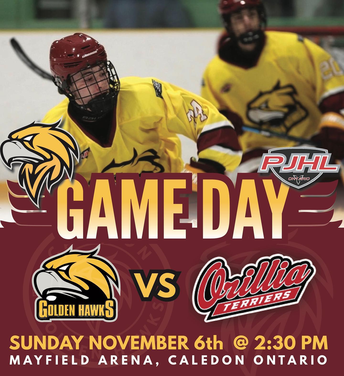 [ GAME DAY ]  Golden Hawks are back at the nest to take on the Orillia Terrier’s. Sunday November 6th @ 2:30 pm Mayfield Arena Caledon. #caledongoldenhawks #letsgo
