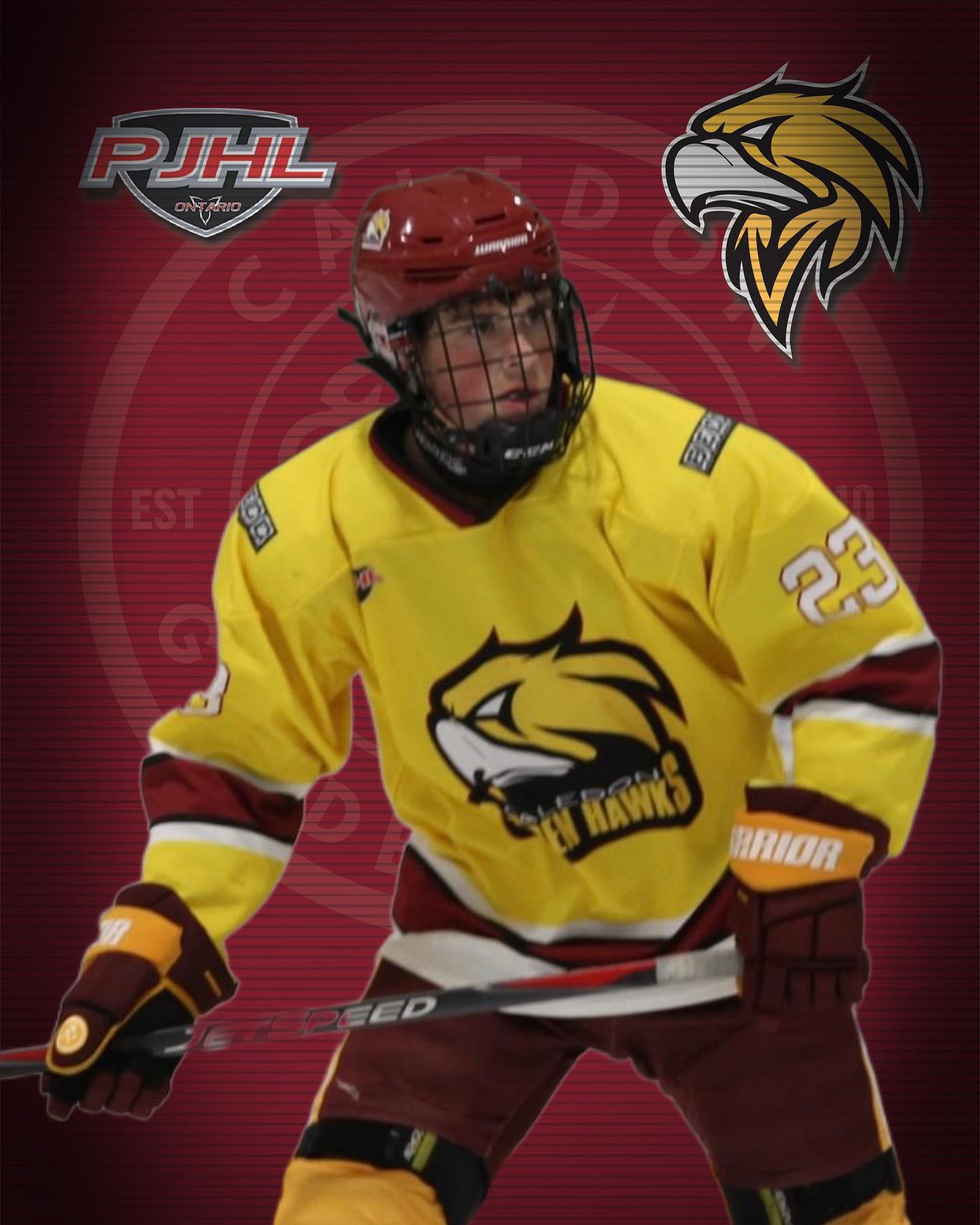 The Golden Hawks would
like to congratulate Liam Grant for being selected to represent the Caledon Golden Hawks on the PJHL Northern Conference  Prospect Team. This year
the North will play the West in Mitchell Ontario
on Saturday November 5th at 1:30 pm!
#caledongoldenhawks #PJHL #prospectsgame
#hockey #northernconference #allstar